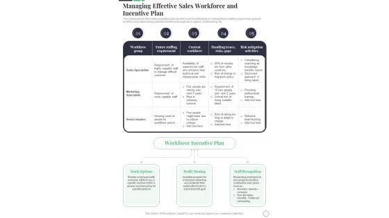 Managing Effective Sales Workforce And Incentive Plan Sales Playbook One Pager Sample Example Document