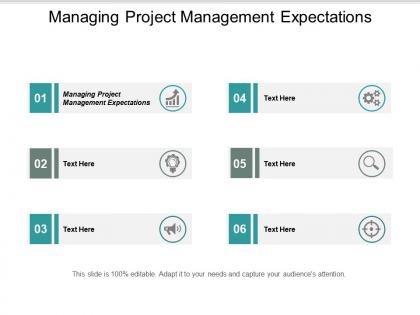 Managing project management expectations ppt powerpoint presentation portfolio information cpb