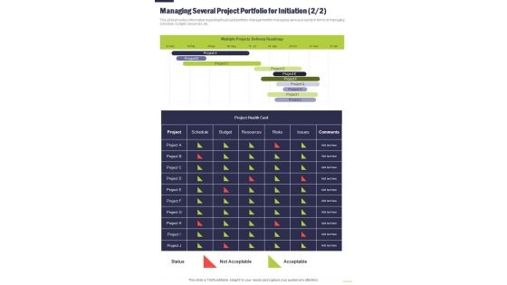 Managing Project Management Playbook Several Project Portfolio One Pager Sample Example Document