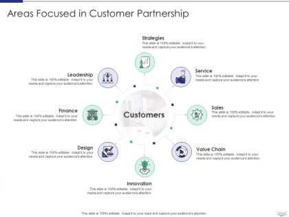 Managing strategic partnerships areas focused in customer partnership