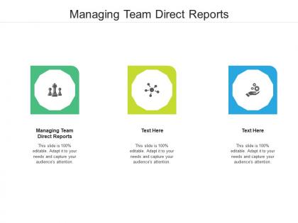 Managing team direct reports ppt powerpoint presentation ideas outline cpb