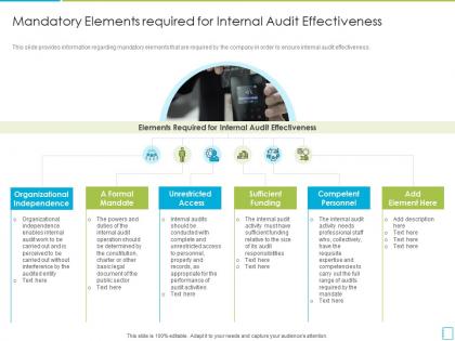 Mandatory elements required for international standards in internal audit practices