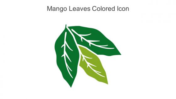 Mango Leaves Colored Icon In Powerpoint Pptx Png And Editable Eps Format