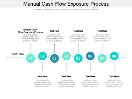 Manual cash flow exposure process ppt powerpoint presentation model smartart cpb