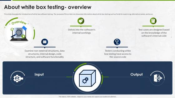 Manual Testing Strategies For Quality About White Box Testing Overview