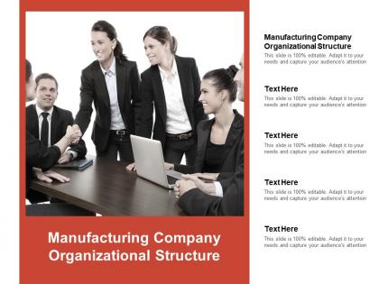 Manufacturing company organizational structure ppt powerpoint presentation gallery cpb