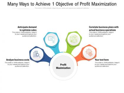 Many ways to achieve 1 objective of profit maximization