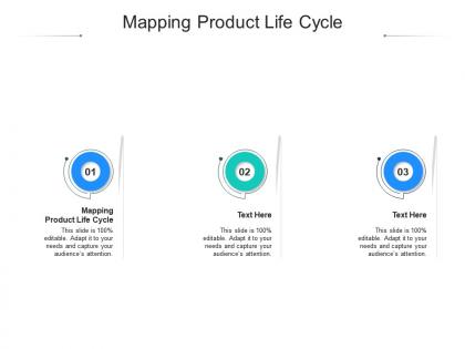 Mapping product life cycle ppt powerpoint presentation gallery tips cpb