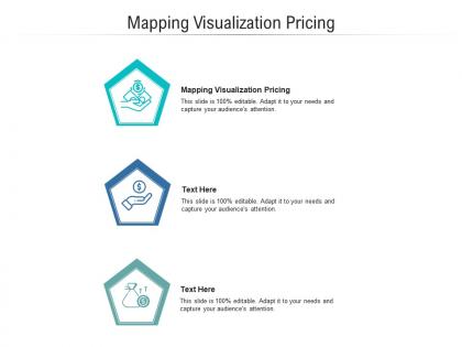 Mapping visualization pricing ppt powerpoint presentation portfolio objects cpb
