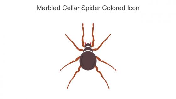 Marbled Cellar Spider Colored Icon In Powerpoint Pptx Png And Editable Eps Format