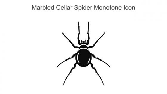 Marbled Cellar Spider Monotone Icon In Powerpoint Pptx Png And Editable Eps Format