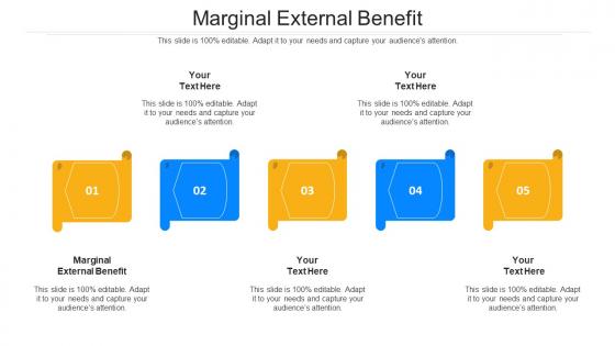 Marginal External Benefit Ppt Powerpoint Presentation Summary Background Designs Cpb