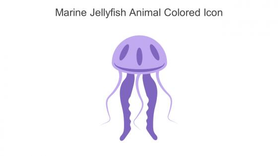 Marine Jellyfish Animal Colored Icon In Powerpoint Pptx Png And Editable Eps Format