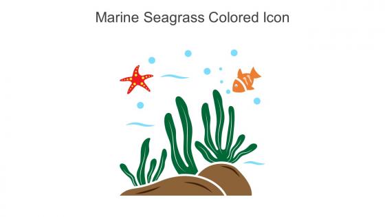 Marine Seagrass Colored Icon In Powerpoint Pptx Png And Editable Eps Format