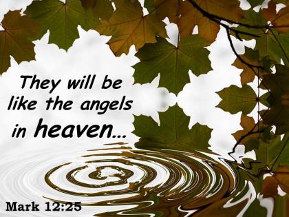 Mark 12 25 they will be like the angels powerpoint church sermon