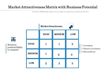 Market attractiveness matrix with business potential