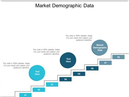 Market demographic data ppt powerpoint presentation styles show cpb