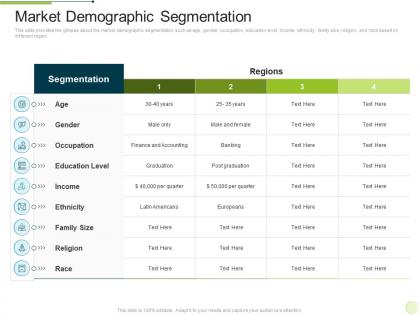 Market demographic segmentation marketing regional development approach ppt pictures guidelines