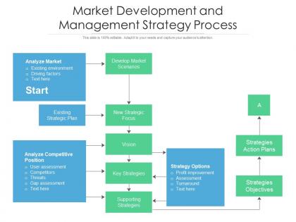 Market development and management strategy process