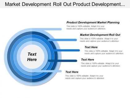 Market development roll out product development market planning