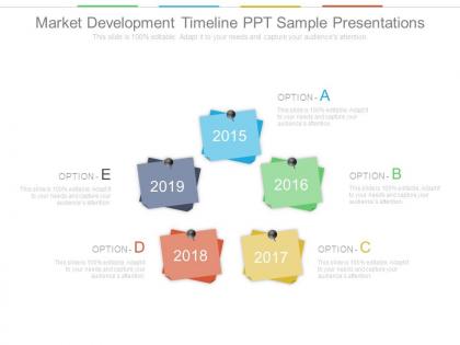 Market development timeline ppt sample presentations