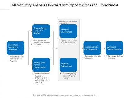 Market entry analysis flowchart with opportunities and environment