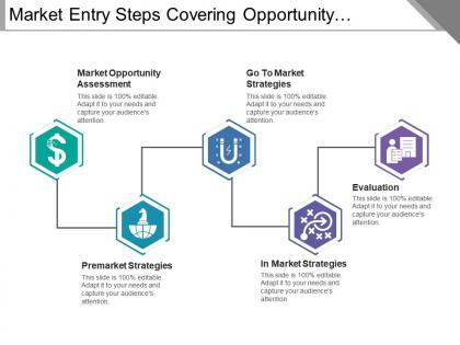 Market entry steps covering opportunity investment strategies and evaluation