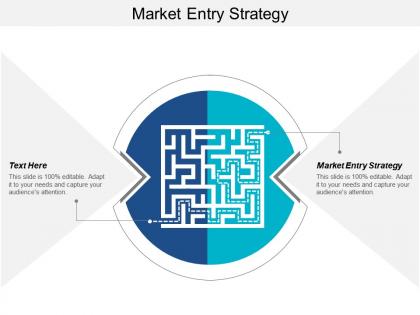 Market entry strategy ppt powerpoint presentation ideas background designs cpb