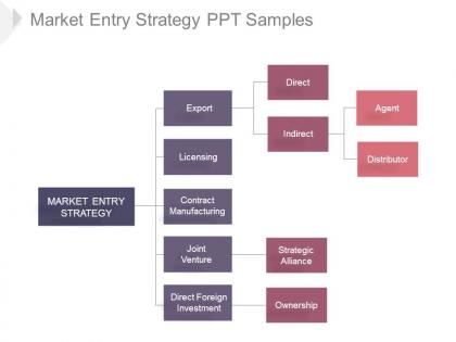 Market entry strategy ppt samples