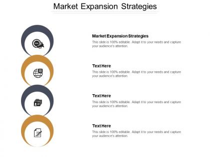Market expansion strategies ppt powerpoint presentation gallery gridlines cpb