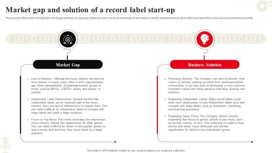 Market Gap And Solution Of A Record Company Summary Of Record Label Business