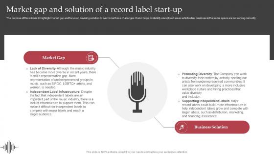 Market Gap And Solution Of A Record Label Start Up Sample Interscope Records Business Plan BP SS