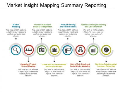 Market insight mapping summary reporting