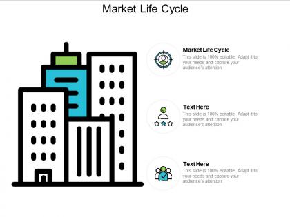 Market life cycle ppt powerpoint presentation ideas graphics example cpb