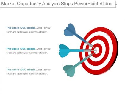 Market opportunity analysis steps powerpoint slides