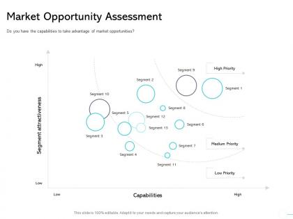 Market opportunity assessment capabilities ppt powerpoint presentation professional ideas