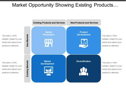 Market opportunity showing existing products services and new markets