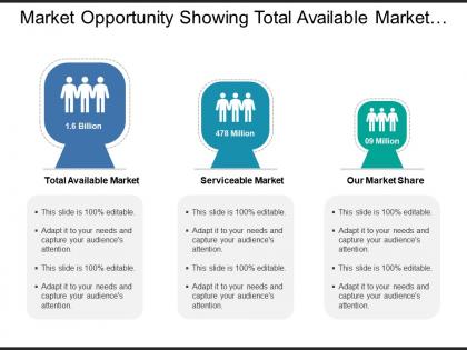 Market opportunity showing total available market and serviceable market