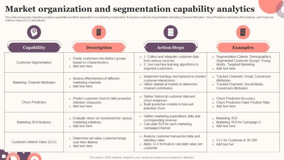 Market Organization And Segmentation Capability Analytics
