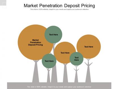 Market penetration deposit pricing ppt powerpoint presentation styles graphics cpb