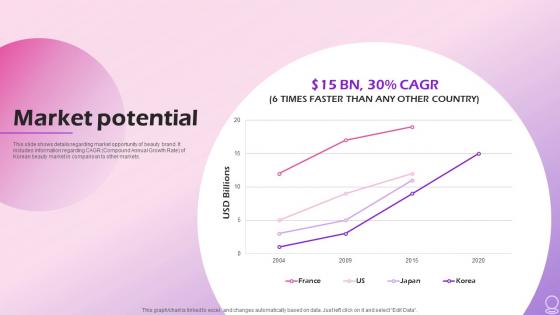 Market Potential Beauty Brand Investor Funding Elevator Pitch Deck