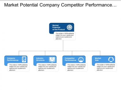 Market potential company competitor performance industry structure