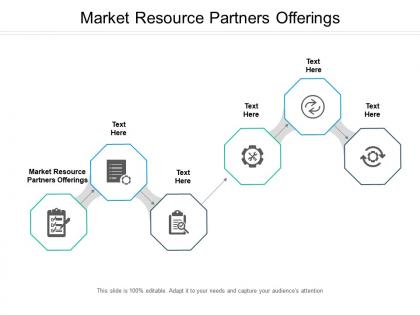 Market resource partners offerings ppt powerpoint presentation icon examples cpb