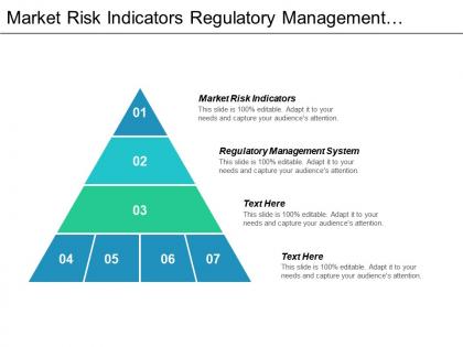 Market risk indicators regulatory management system reality services corporation cpb