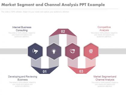 Market segment and channel analysis ppt example