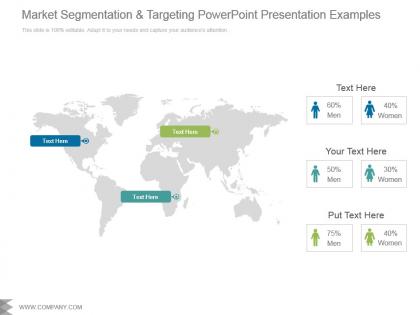 Market segmentation and targeting powerpoint presentation examples