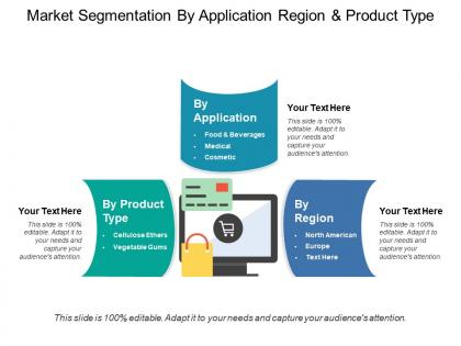 Market segmentation by application region and product type