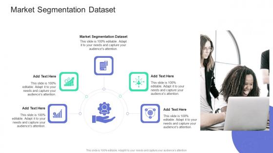 Market Segmentation Dataset In Powerpoint And Google Slides Cpb