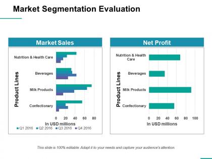 Market segmentation evaluation ppt professional graphics design