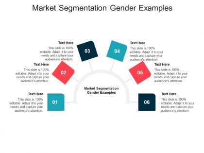 Market segmentation gender examples ppt powerpoint presentation file professional cpb